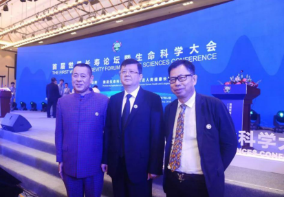 东融老总